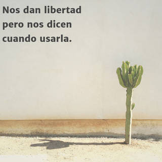 Nos dan libertad pero nos dicen cuando usarla.