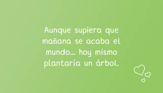 Aunque supiera que mañana se acaba el mundo... hoy mismo plantaría un árbol.