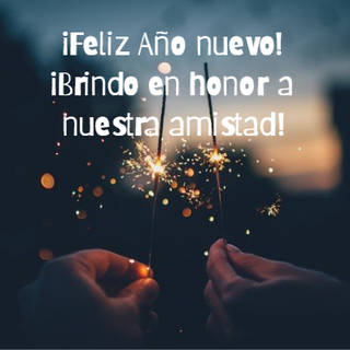 ¡Feliz Año nuevo!  ¡Brindo en honor a nuestra amistad!