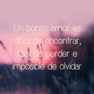 Un bonito amor es difícil de encontrar, fácil de perder e imposible de olvidar.