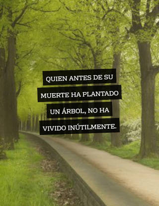 Quien antes de su muerte ha plantado un árbol, no ha vivido inútilmente.
