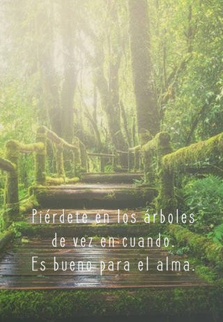 Crea Tu Frase – Imágenes con Frases sobre la Naturaleza