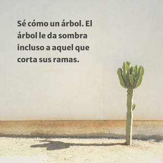 Sé cómo un árbol. El árbol le da sombra incluso a aquel que corta sus ramas.
