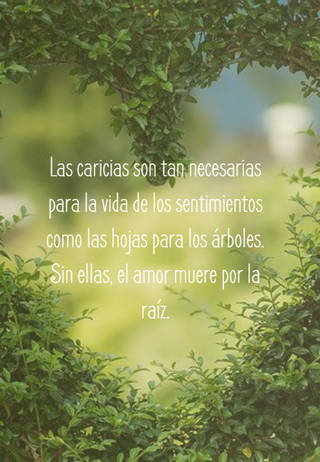 Las caricias son tan necesarias para la vida de los sentimientos como las hojas para los árboles. Sin ellas, el amor muere por la raíz.