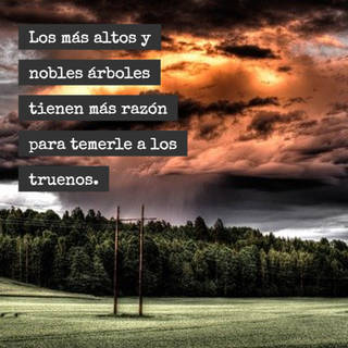 Crea Tu Frase – Frase #39814: La vida nunca es justa pero debes afrontar los  golpes y seguir adelante. Aunque esta rompa todas tus ilusiones y sueños  debes seguir soñando, ¿Sabes por