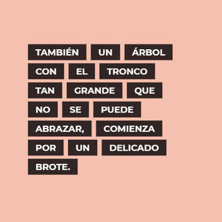 También un árbol con el tronco tan grande que no se puede abrazar, comienza por un delicado brote.