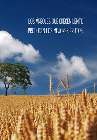 Los árboles que crecen lento producen los mejores frutos.