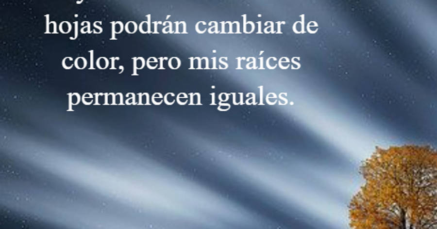 Crea Tu Frase – Frase #603908: Soy como un árbol. Mis hojas podrán cambiar  de color, pero mis raíces permanecen iguales.