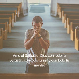 Ama al Señor tu Dios con todo tu corazón, con todo tu ser y con toda tu mente.