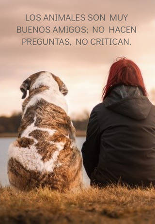 Crea Tu Frase – Imágenes con Frases de Animales