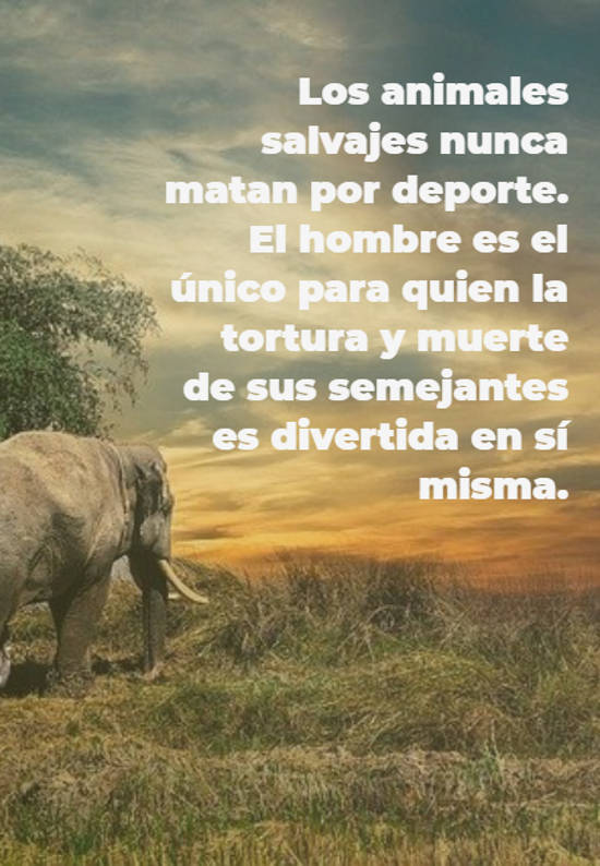 Crea Tu Frase – Frase #638275: Los animales salvajes nunca matan por  deporte. El hombre es el único para quien la tortura y muerte de sus  semejantes es divertida en sí misma.