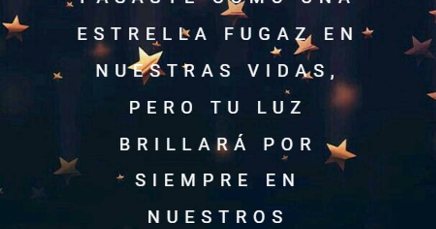 Crea Tu Frase – Frase #658136: Pasaste como una estrella fugaz en