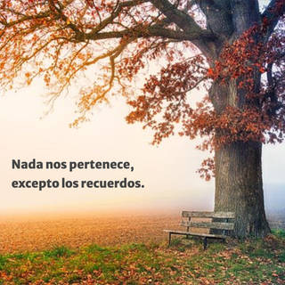 Nada nos pertenece, excepto los recuerdos.