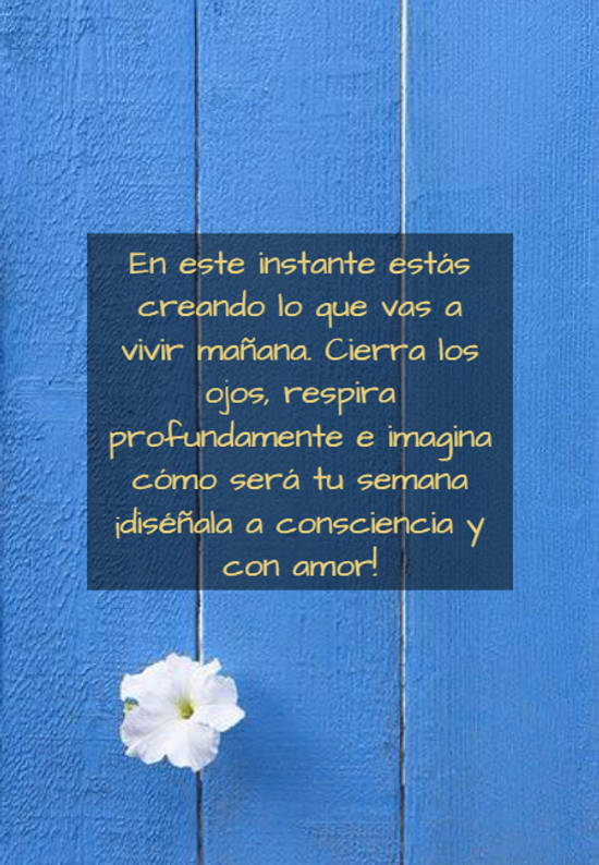 Frase #791013: En este instante estás creando lo que vas a vivir mañana ...