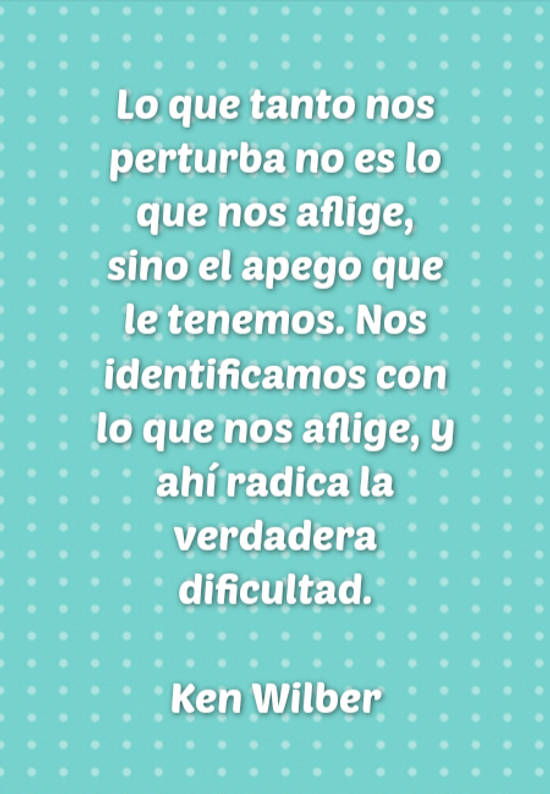 Frase 821380 Lo que tanto nos perturba no es lo que nos aflige, sino