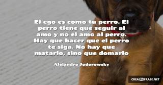 El ego es como tu perro. El perro tiene que seguir al amo y no el amo al perro. Hay que hacer que el perro te siga. No hay que matarlo, sino que domarlo