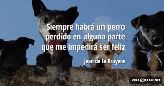 Siempre habrá un perro perdido en alguna parte que me impedirá ser feliz