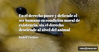 En el derecho posee y defiende el ser humano su condición moral de existencia, sin el derecho desciende al nivel del animal