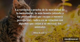 La verdadera prueba de la moralidad de la humanidad, la más honda (situada a tal profundidad que escapa a nuestra percepción), radica en su relación con aquellos que están a su merced: los animales