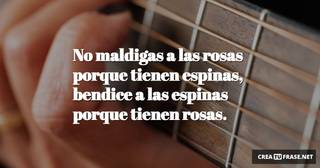 No maldigas a las rosas porque tienen espinas, bendice a las espinas porque tienen rosas.