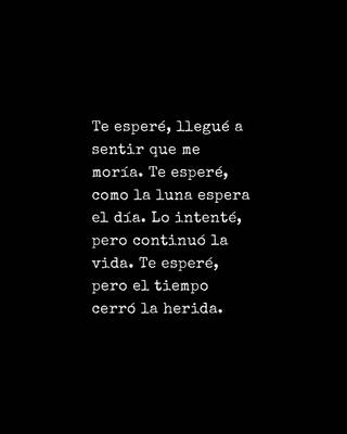 Te esperé, llegué a sentir que me moría. Te esperé, como la luna espera el día. Lo intenté, pero continuó la vida. Te esperé, pero el tiempo cerró la herida.
