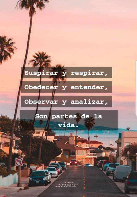 Crea Tu Frase Suspirar Y Respirar Obedecer Y Entender Observar