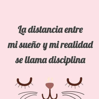 La distancia entre mi sueño y mi realidad se llama disciplina