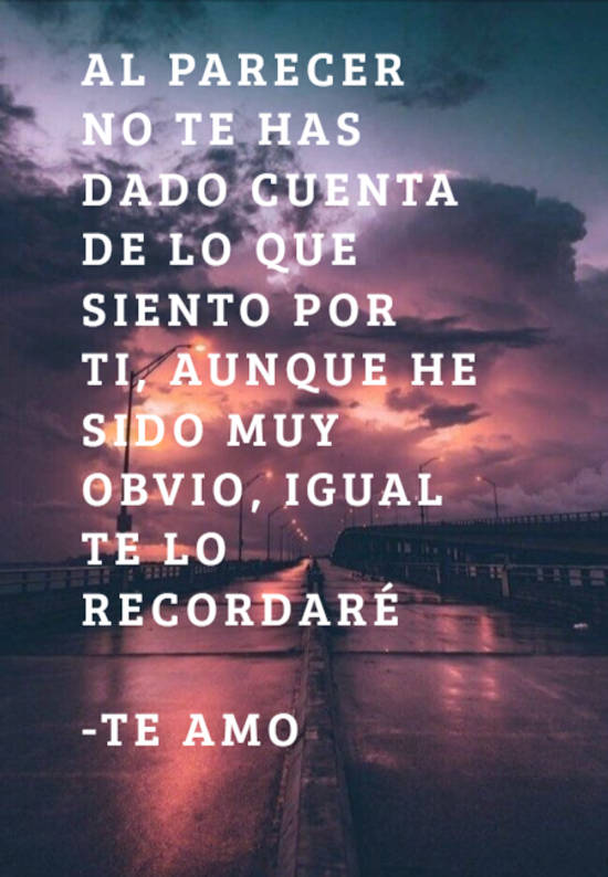 Frase #238955: Al parecer no te has dado cuenta de lo que siento por ti ...
