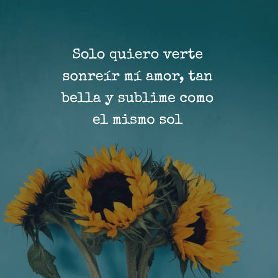 Crea Tu Frase – Solo quiero verte sonreír mí amor, tan bella y (4 Imágenes)