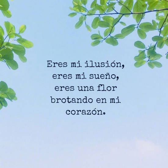 Crea Tu Frase – Frase #85683: Eres mi ilusión, eres mi sueño, eres una flor  brotando en mi corazón.