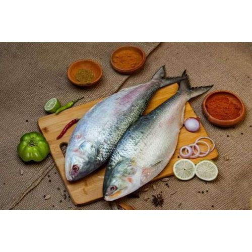 Kolkata Hilsa