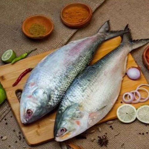 Bangladesi Hilsa (with eggs)