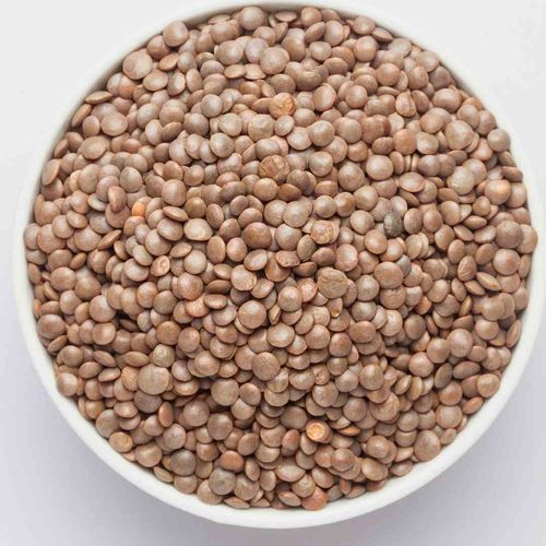 Masoor Dal Whole (Brown)