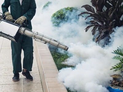 Mosquito Control