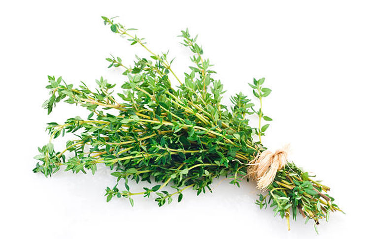 Menilik 4 Manfaat Daun Thyme Bagi Kesehatan