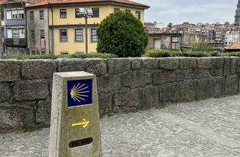 Poutní cesta Camino de Santiago. Výlet za odměnu nebo za trest?