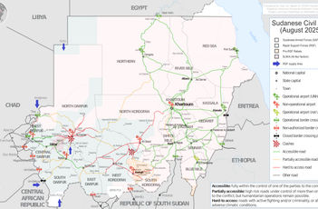 Amnesty varuje před zločiny RSF v Súdánu. Přes jednostranné příměří pokračuje násilí na civilistech