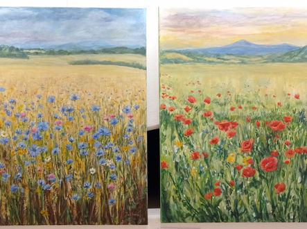 Chrpy pod Beskydami, Maková pole (Ježková Miroslava)