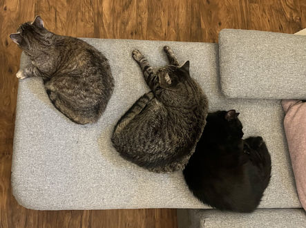 Obyvatelé Toulavého ráje 