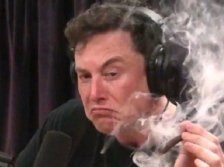 Satirický příspěvek samotného Elona Muska