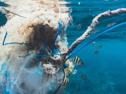 Plastový odpad v oceánu