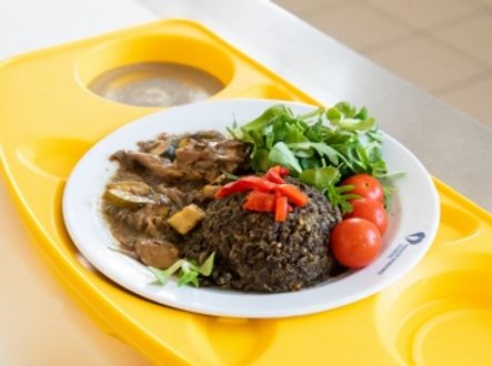 Čočka beluga s quinoou a hlívou ústřičnou – jedno z jídel, která připravují kuchaři FN Olomouc