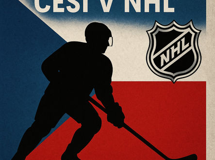 Ilustrační obrázek Češi v NHL