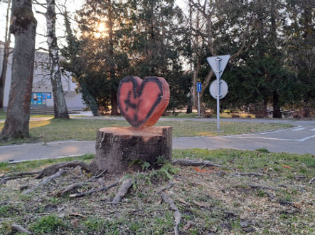 Srdíčko z pokáceného stromu v městském parku