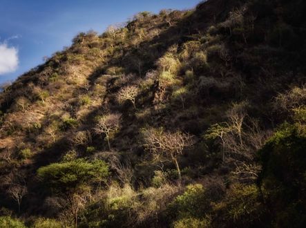 Ebore Land, Omo V. Ethiopia
