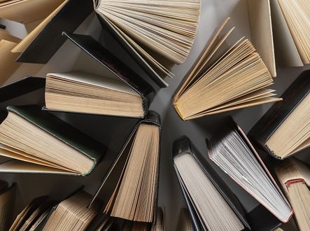 Ilustrační fotografie