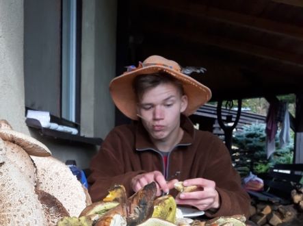 Letošní houbařská sezóna je vskutku povedená.