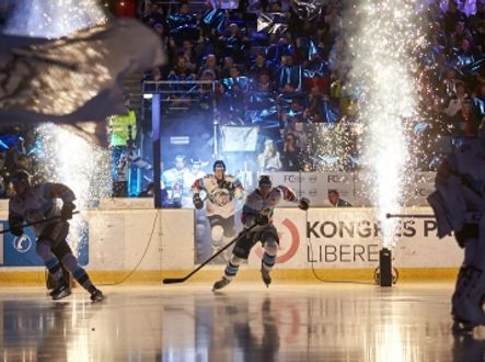 Efektní nástup Tygrů na ledovou plochu