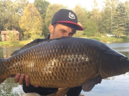 Trofejní kapr chycený na podzim