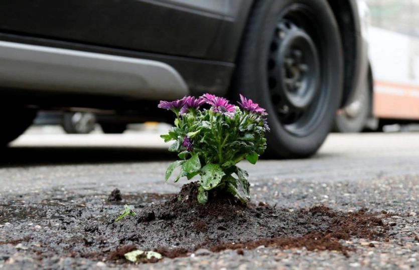 Okrasa v ulicích Bruselu